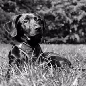 Bassets Lettings - Salisbury
