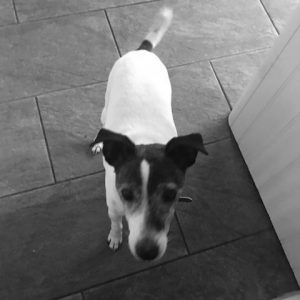 Bassets - Shaftesbury Estate Agents