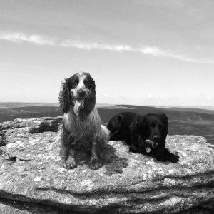 Sarah Mallalieu - Bassets Sales & Lettings