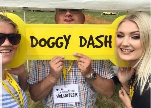 Dogs Trust 2019